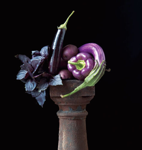 Beautiful Vegetable Portraits: Lynn Karlin’s Pedestal Series